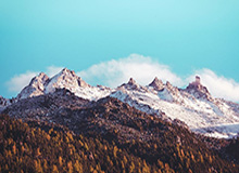 华体会体育-哈维+布罗金顿就位 辽篮阵容得到补强